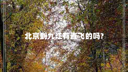 北京到九江有直飛的嗎?