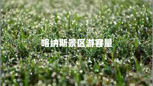 喀納斯景區游客量