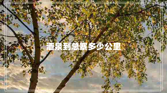 酒泉到總寨多少公里