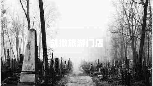 凱撒旅游門(mén)店 凱撒旅游門(mén)店