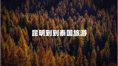 昆明到到泰國旅游