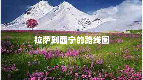 拉薩到西寧的路線(xiàn)圖