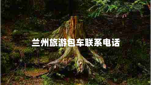蘭州旅游包車(chē)聯(lián)系電話(huà)