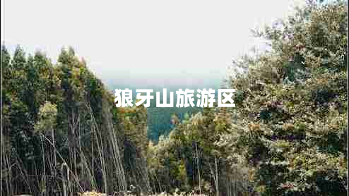 狼牙山旅游區