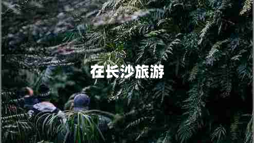在長(cháng)沙旅游