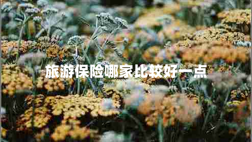 旅游保險哪家比較好一點(diǎn)