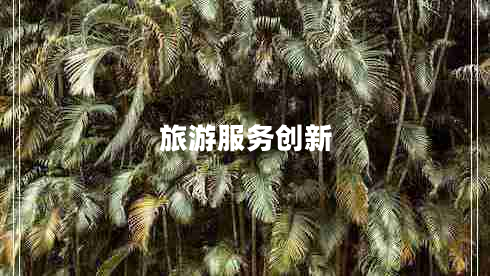 旅游服務(wù)創(chuàng  )新