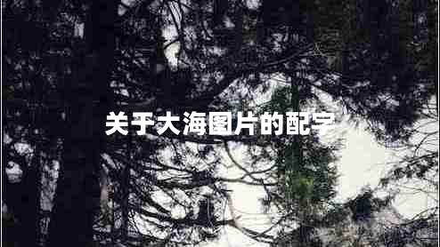 關(guān)于大海圖片的配字