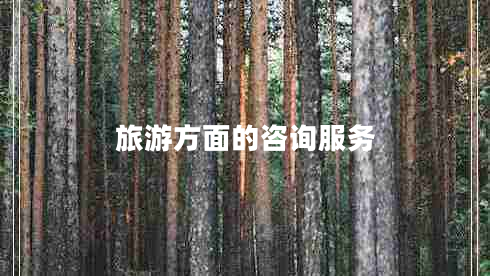 旅游方面的咨詢(xún)服務(wù)