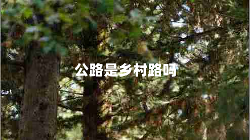 公路是鄉村路嗎