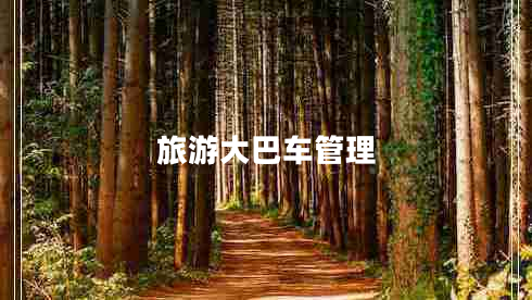 旅游大巴車(chē)管理