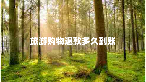 旅游購物退款多久到賬