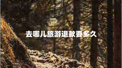 去哪兒旅游退款要多久