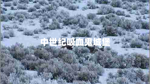 中世紀吸血鬼城堡