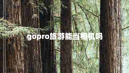 gopro旅游能當相機嗎