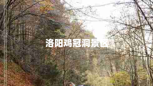 洛陽(yáng)雞冠洞景區