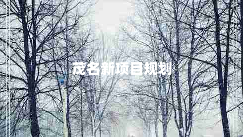 茂名新項目規劃