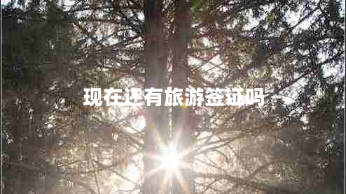 現在還有旅游簽證嗎