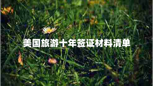 美國旅游十年簽證材料清單