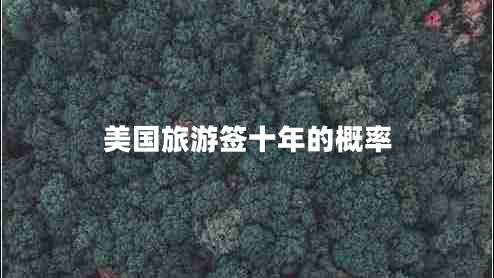 美國旅游簽十年的概率