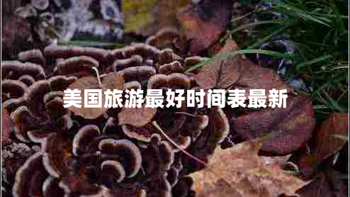 美國旅游最好時(shí)間表最新