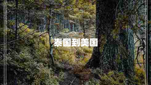 泰國到美國 泰國到美國