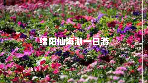 綿陽(yáng)仙海湖一日游