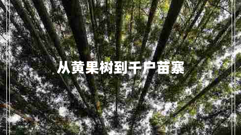 從黃果樹(shù)到千戶(hù)苗寨