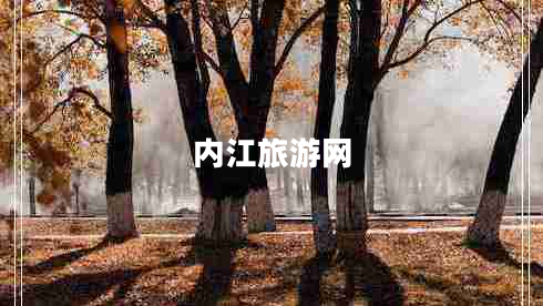 內江旅游網(wǎng)