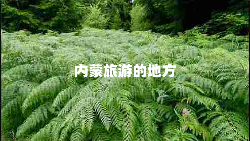 內蒙旅游的地方