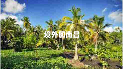 境外回南昌 境外回南昌