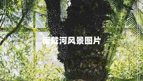 南戴河風(fēng)景圖片