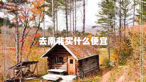 去南非買(mǎi)什么便宜