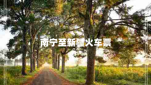 南寧至新疆火車(chē)票