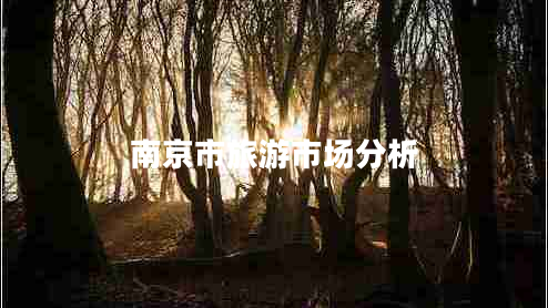 南京市旅游市場(chǎng)分析