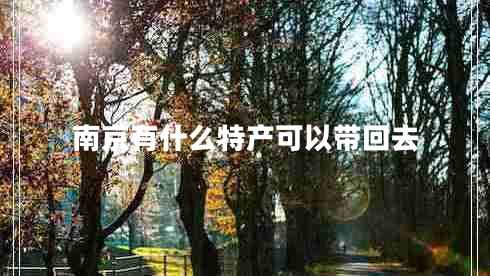 南京有什么特產(chǎn)可以帶回去