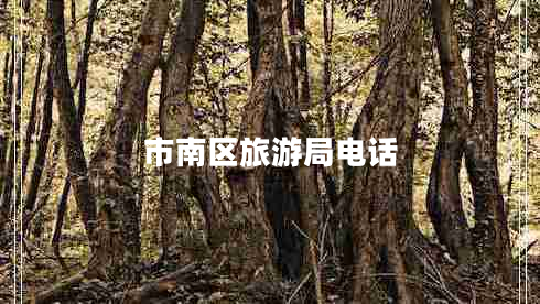 市南區旅游局電話(huà)