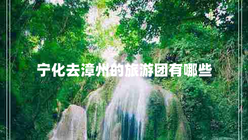 寧化去漳州的旅游團有哪些