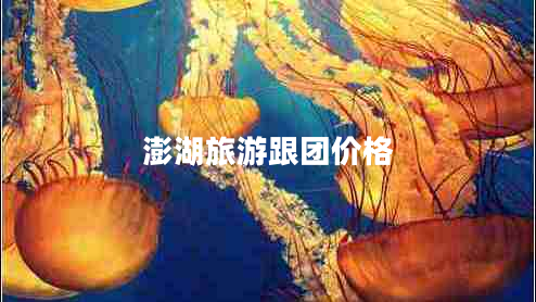 澎湖旅游跟團價(jià)格