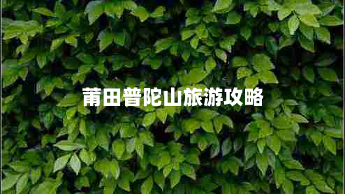 莆田普陀山旅游攻略