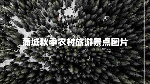 蒲城秋季農村旅游景點(diǎn)圖片