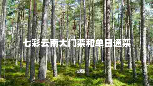 七彩云南大門(mén)票和單日通票