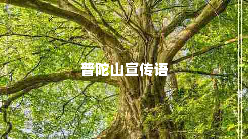 普陀山宣傳語(yǔ)