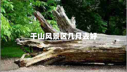 千山風(fēng)景區幾月去好