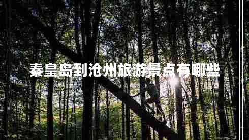 秦皇島到滄州旅游景點(diǎn)有哪些