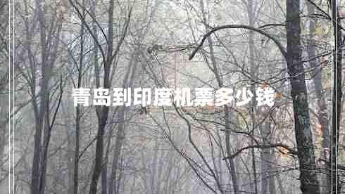 青島到印度機票多少錢(qián)