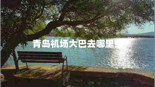 青島機場(chǎng)大巴去哪里坐