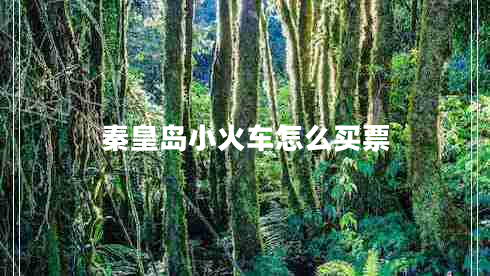 秦皇島小火車(chē)怎么買(mǎi)票