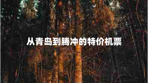 從青島到騰沖的特價(jià)機票