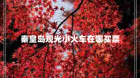 秦皇島觀(guān)光小火車(chē)在哪買(mǎi)票